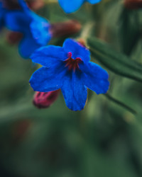 Similar image 21633637