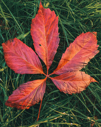 Similar image 21633653