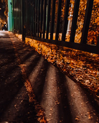 Similar image 21633655