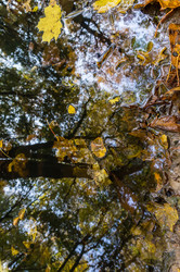 Similar image 21645875