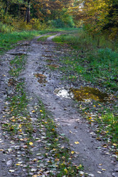 Similar image 21645879