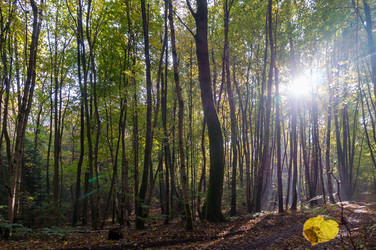 Similar image 21645884