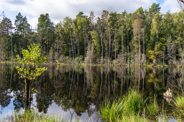 Similar image 21645886