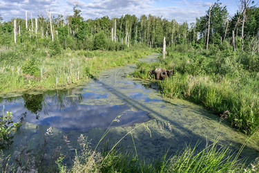 Similar image 21645889