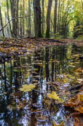 Similar image 21645891