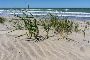 Similar image 21645892