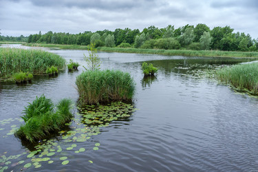 Similar image 21645894