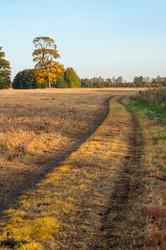 Similar image 21645906