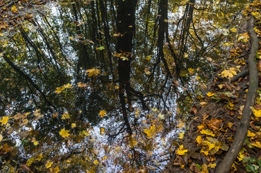 Similar image 21645908