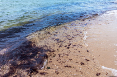 Similar image 21645919