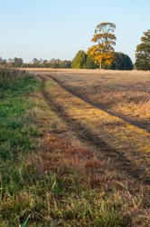 Similar image 21645928