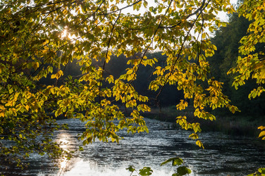 Similar image 21645932