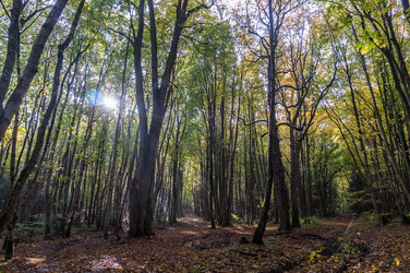 Similar image 21646178