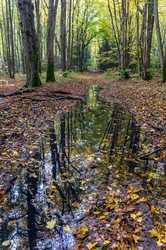 Similar image 21646184