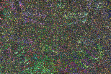 Similar image 21645589