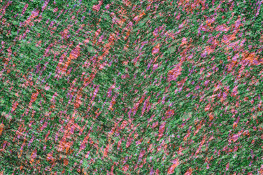 Similar image 21645937