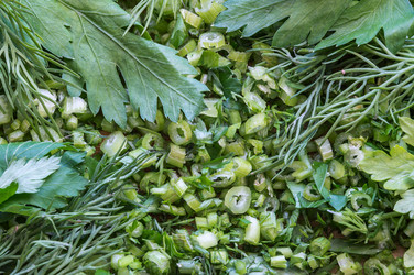 Similar image 21645940