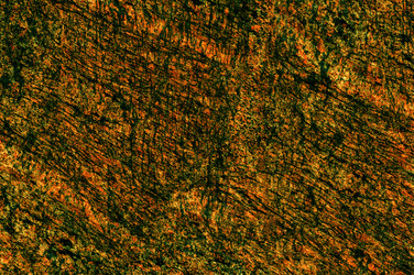 Similar image 21645945