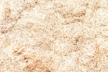 Similar image 21645947