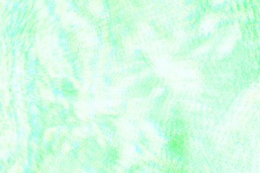 Similar image 21645958