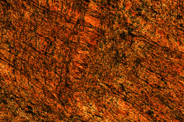 Similar image 21645959