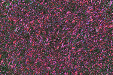 Similar image 21645971