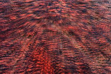 Similar image 21633683