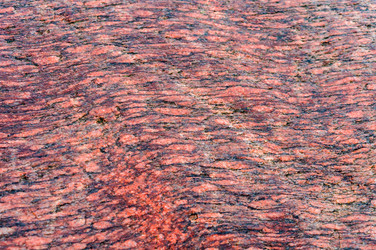 Similar image 21631642