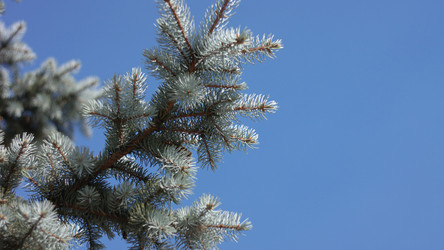 Similar image 21635942