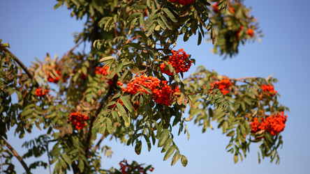 Similar image 21635950