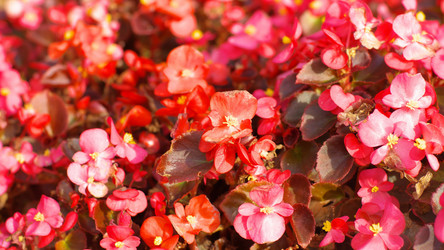 Similar image 21635952