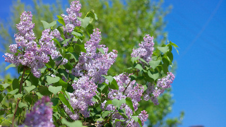 Similar image 21635953