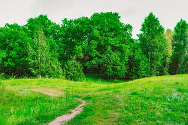 Similar image 21631877