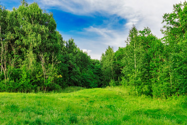 Similar image 21631878