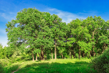 Similar image 21631879