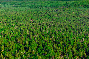 Similar image 21631881