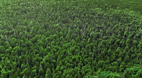 Similar image 21631882