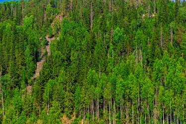 Similar image 21631883