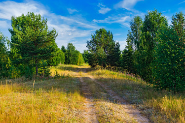 Similar image 21631888