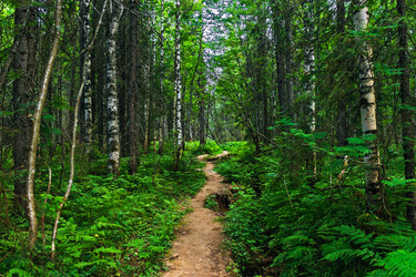 Similar image 21631890