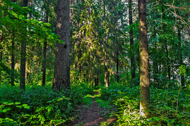 Similar image 21631891