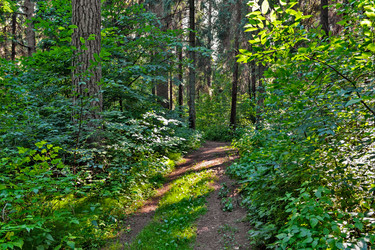 Similar image 21631892