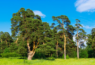 Similar image 21631896