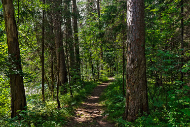 Similar image 21631897