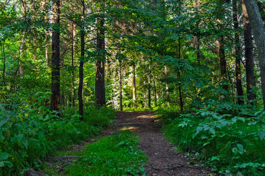 Similar image 21631899