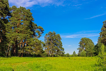 Similar image 21631903