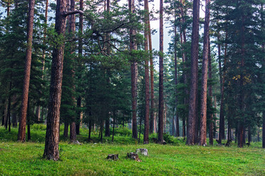 Similar image 21631909