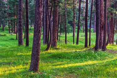 Similar image 21631911