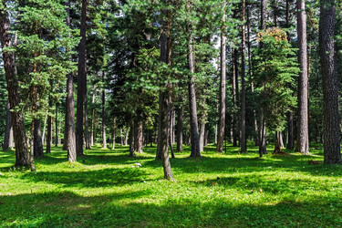 Similar image 21631912