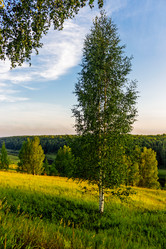 Similar image 21631913